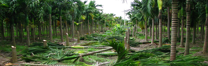 bb贝博艾弗森仪器广泛应用于环境分析领域